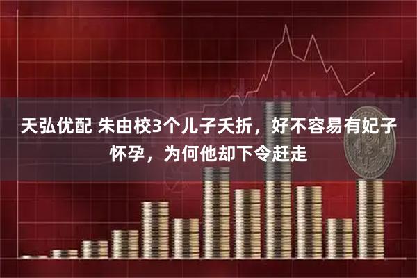 天弘优配 朱由校3个儿子夭折，好不容易有妃子怀孕，为何他却下令赶走