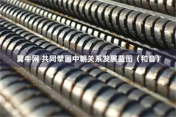 翼牛网 共同擘画中朝关系发展蓝图（和音）