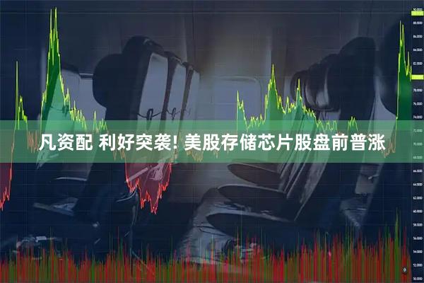 凡资配 利好突袭! 美股存储芯片股盘前普涨